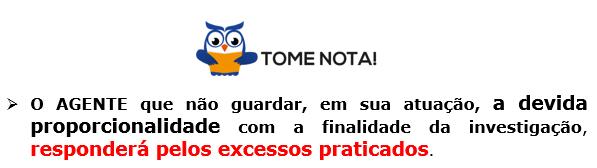 INFILTRAÇÃO DE AGENTES ACESSO A REGISTROS,