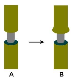 ELABORADA