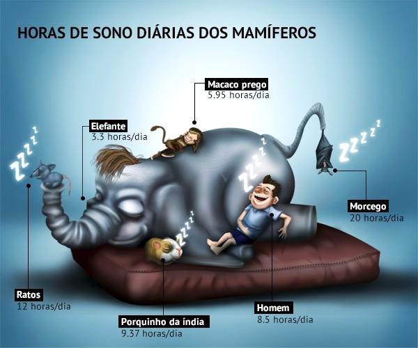 Mais neurônios, menos sono: o que determina o quanto precisamos