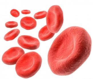 O CHCM vai determinar se existe alteração compatível com anemia.
