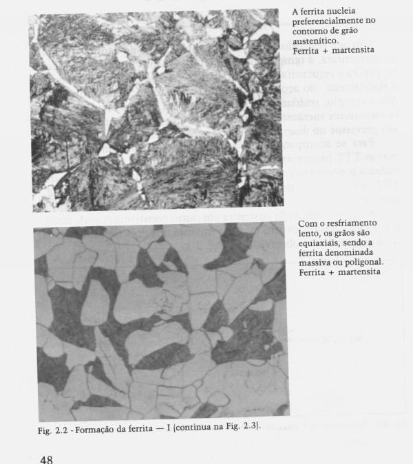 Placas laterais de ferrita: Constituem placas que nucleam nos contornos de grão da austenita e crescem ao longo de planos bem definidos dentro destes grãos.