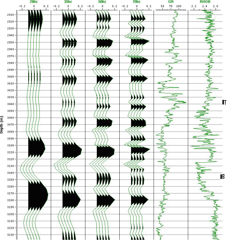 para o Campo de Namorado. A wavelet com freqüência de 20hz mostrou-se útil apenas para a delimitação de topo e base do reservatório, o que ocorre em situações reais de aquisição sísmica.