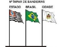 Em composição com as bandeiras dos Estados brasileiros, a Bandeira Nacional, é colocada ao centro, seguindo a ordem de constituição histórica (uma à direita, outra à esquerda sucessivamente.