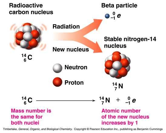 também pode ocorrer por decaimento β (decaimento por emissão de uma partícula β) Não podem ocorrer transmutações por: decaimento por emissão de radiação γ nem por meio de reacções químicas O