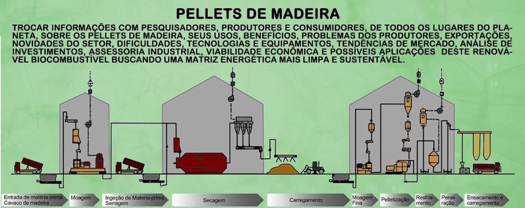 BIOMASSA DO MITO AO RITO Os governos.