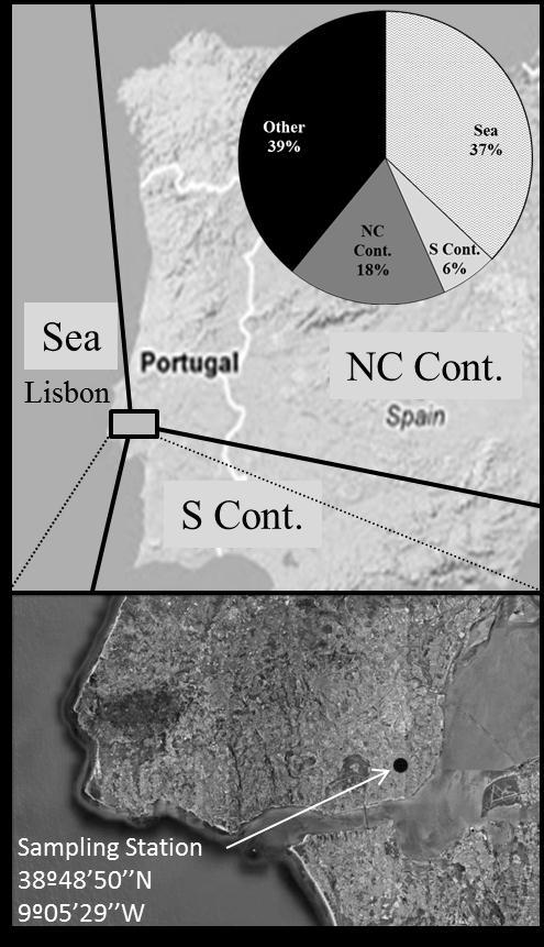 das fontes antropogénicas identificadas para o PM 2.