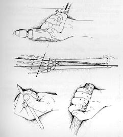 Ergonomia como ciência Não é autônoma, mas multidisciplinar medicina engenharia ciências humanas e sociais economia psicologia FATORES HUMANOS X ÁREA DO CONHECIMENTO *carga física e visual do