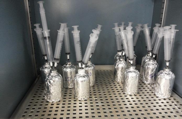 Figura 1 Reatores anaeróbios em frascos de penicilina. Estes frascos foram escolhidos devido a condições aproximadamente uniformes ao longo dos frascos e a possibilidade de serem bem lacrados.