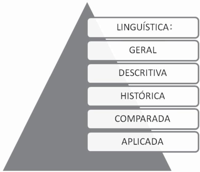 LINGUÍSTICA: DIVISÃO E INTERDISCIPLINARIDADE META Apresentar a divisão da Linguística e sua relação com outras disciplinas e com as gramáticas.