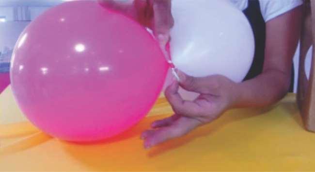 Aula 2.5 4) Após medir e deixar ambos no tamanho desejado, una os dois balões com um nó.