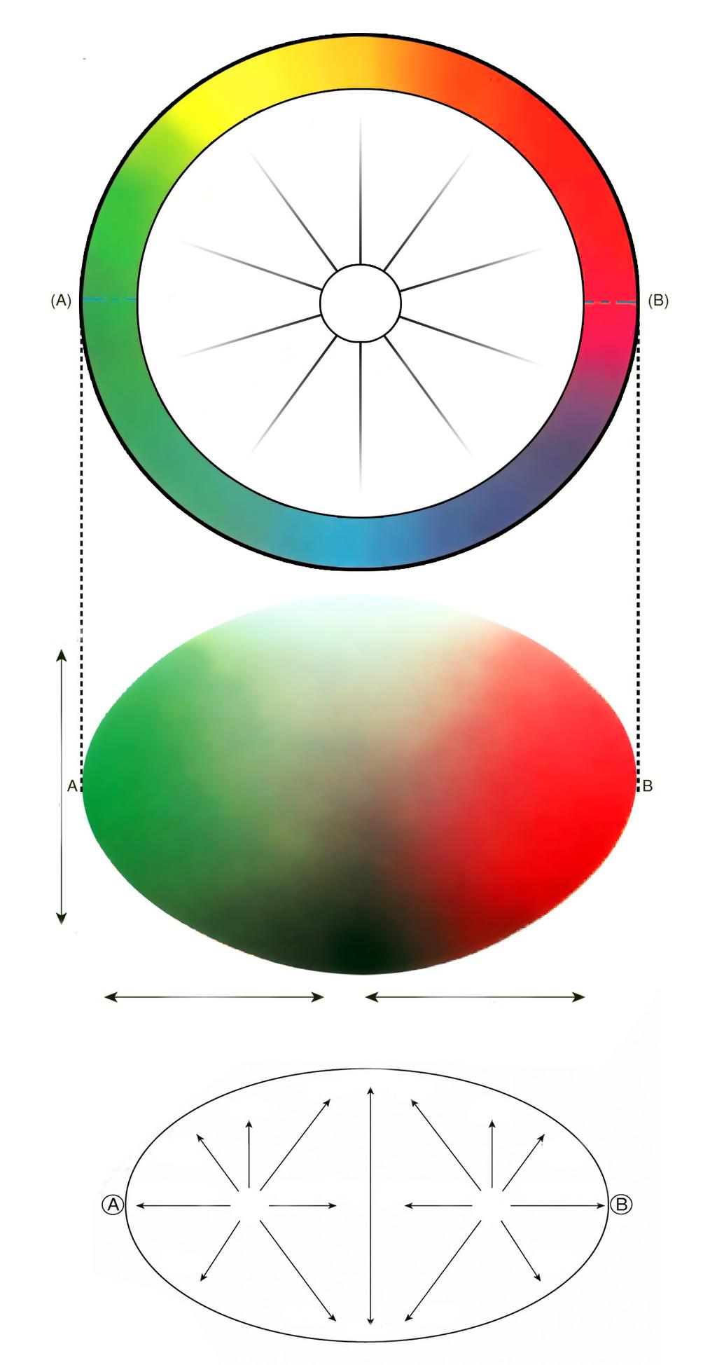 Tonalidade, luminosidade, saturação. O mundo da cor é uma mistura desses três atributos. Figura 1: Roda das cores.