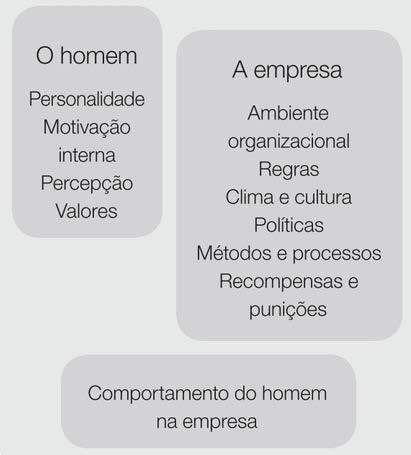 A complexidade das organizações Variáveis que influenciam o