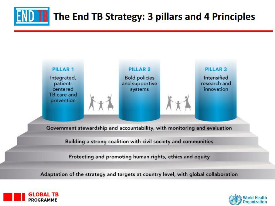 OS 3 PILARES E OS 4 PRINCÍPIOS DA ESTRATÉGIA END TB Pilar 1 Prevenção e cuidado da TB integrados e centrados no paciente Pilar 2 Políticas ousadas e sistemas de apoio Pilar 3 Intensificar a pesquisa