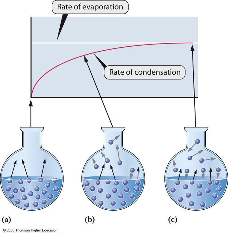 Características do Equilíbrio Reações Diretas e Inversas Vel. de Evaporação Vel. de Condensação a) As moléculas podem se movimentar para a fase gasosa livremente pois não há vapor presente.