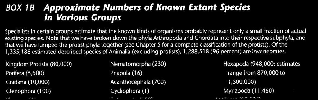 CNIDARIA Esquema