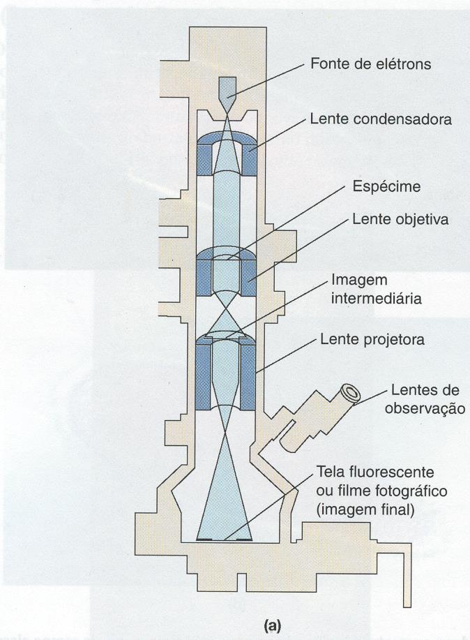 Histórico