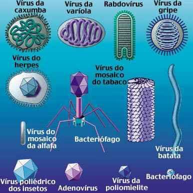 eletrônica