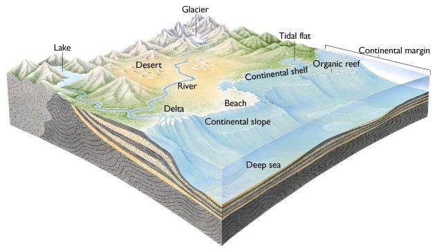 Ambiente de Sedimentação É uma porção da superfície do planeta (continente ou oceano) caracterizada pela combinação de processos físicos, químicos e biológicos,