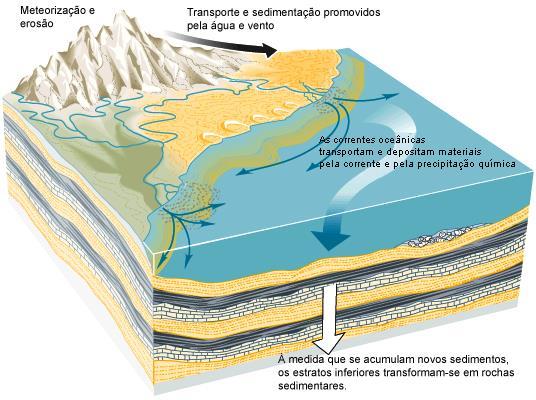 Tipos de Rocha Sedimentar Grande parte da superfície da Terra, incluindo parte do assoalho oceânico, é coberta