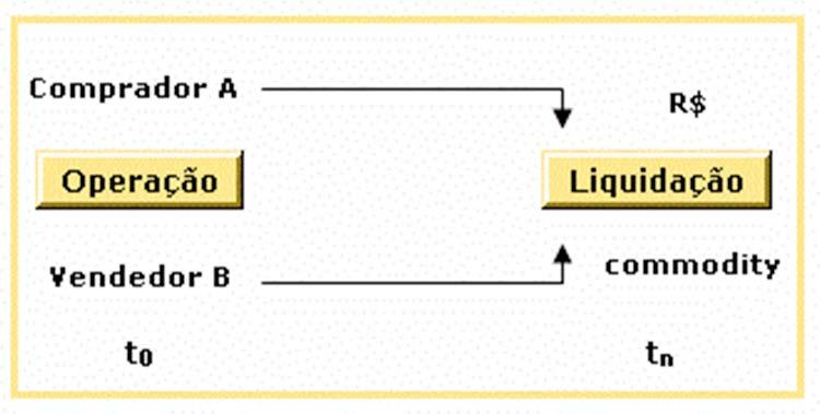 5.3 MERCADO A TERMO: FUNÇÕES E CARACTERÍSTICAS Os contratos a termo são negociados sobre mercadorias, ações, moedas, títulos públicos, dentre outros.