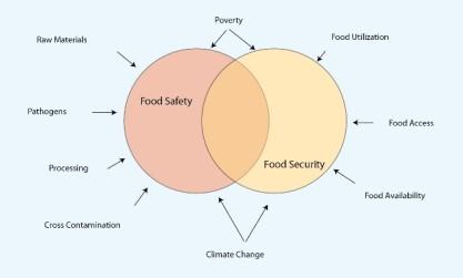 Segurança Alimentar Segurança, Suficiência, Sustentabilidade, Definições Suficiência alimentar (Food security) Segurança alimentar