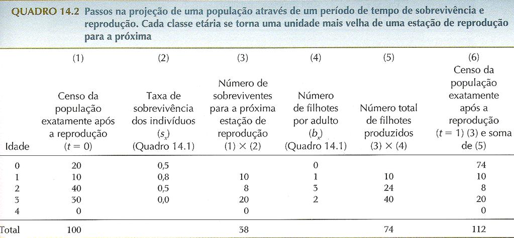 CONSTRUINDO UMA TABELA DE VIDA Cálculo da população de pardais e sua distribuição etária no tempo 1 (t=1), a partir dos dados coletados no início (t=0) e mostrados na tabela Cálculo