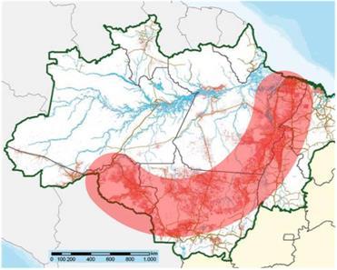 Apesar de ainda ser a maior e mais importante floresta do mundo, a Amazônia está exposta a um desmatamento intenso, especialmente em sua porção mais oriental, conhecida como arco do desmatamento.