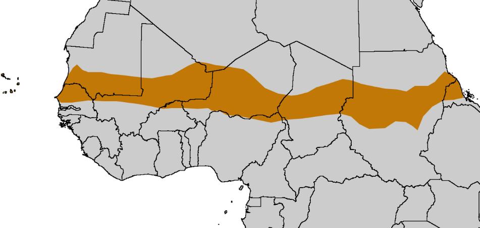 Figura 24 Sahel africano A região do Sahel corresponde a uma região com presença de estepes. Alguns estudiosos também classificam a Caatinga brasileira nessa formação.