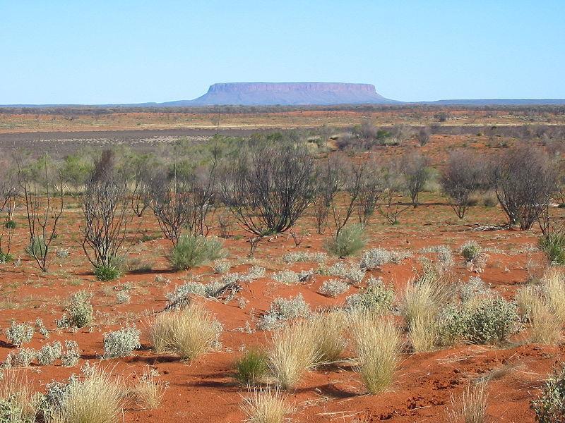 Figura 27 Deserto australiano e Austrália. As cactáceas e outras espécies xerófilas formam o conjunto vegetal desse bioma.