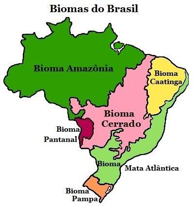 Biomas do Brasil Quando se fala em paisagens naturais, geralmente referimo-nos aos elementos visíveis dessa constante interação que ocorre entre os diversos elementos da natureza.