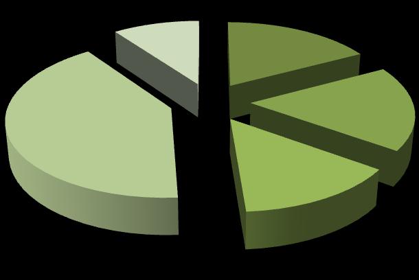 Distribución da contratación por nivel formativo entre os mozos menores de 30 anos 41% 10% 17% 18% Ata certificado de escolaridade BUP / Bacharelato superior / COU Formación profesional 14%