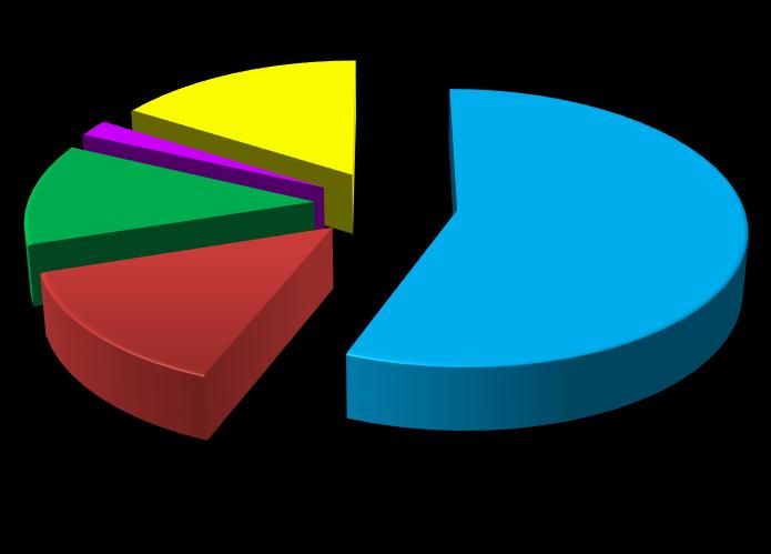 Parte do Corpo Atingida 2% 16% 12% 14% 56% MEMBROS SUPERIORES CABEÇA