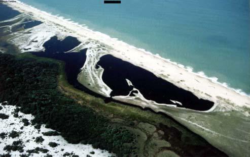 20 3.2 PARQUE NACIONAL DE JURUBATIBA O Parque Nacional de Jurubatiba se localiza no nordeste do estado do Rio de Janeiro, abrangendo os municípios de Macaé, Carapebus e Quissamã, compreendendo