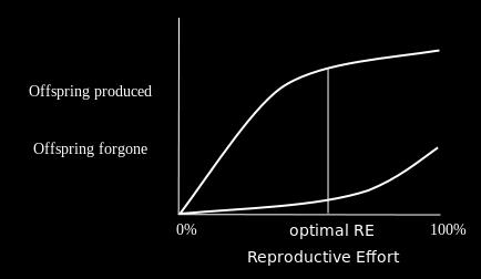 Esforço reprodutivo de espécies iteróparas Offspring = descendente, prole, rebento.