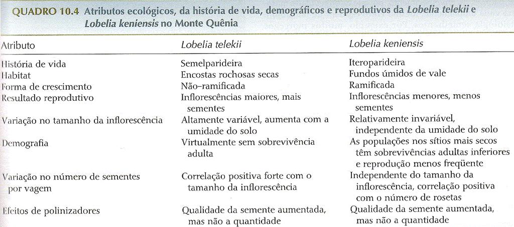 Comparando duas espécies do gênero