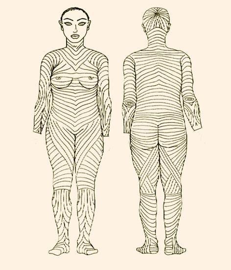 Figura 1 - Linhas de Langer corporal. 2.
