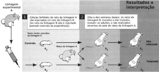 7.4 Explique por que razão a reação inflamatória constitui um mecanismo de imunidade inata. Figura 3 4 8.