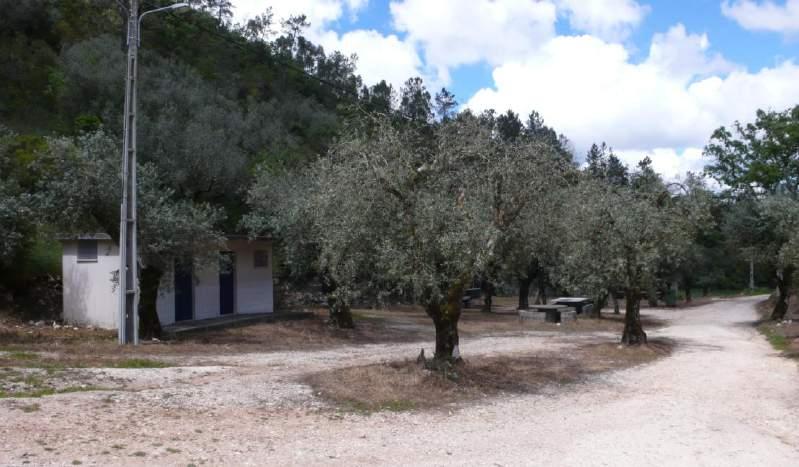 PARQUE DE MERENDAS DO VALE MAIOR (PRESINHA) Área: 1841 m 2 (conforme a matriz predial). Coordenadas: 39º 40' 56,20'', norte, 8º 42' 39,07'', oeste, e 277 metros de altitude.