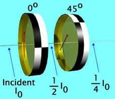 Polarização: Lei de Malus Mas se os dois polarizadores estiverem defasados de 45 o, só a metade da