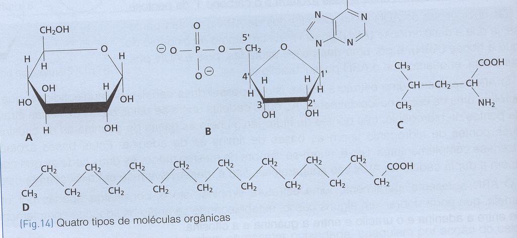 Exercício de aplicação. A figura seguinte representa um conjunto de moléculas orgânicas. 1 Classifica cada uma das moléculas representadas. 1.1 Justifica a classificação feita para as moléculas B e C.
