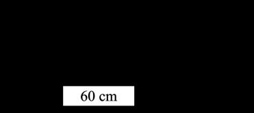 20) Na figura abaixo, não existe atrito nem resistência do ar; o corpo A tem massa 4 kg e B, 3 kg. Calcule: (adote g = 10 m/s² ): a) a aceleração dos corpos. b) a tração no fio.