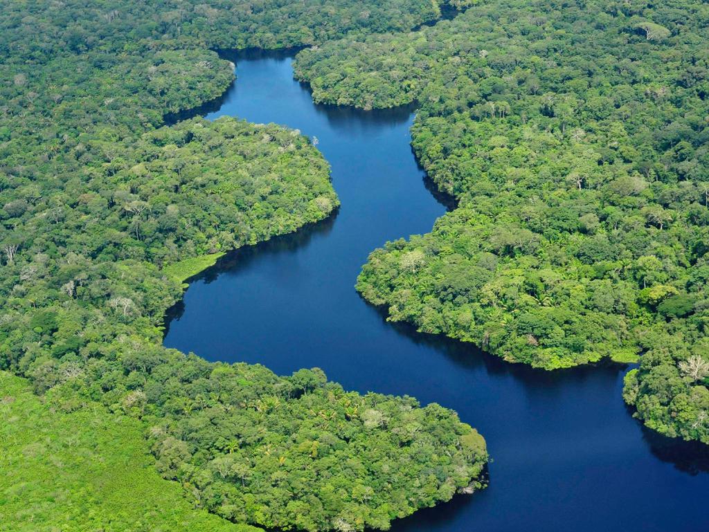 rio negro A região do Rio Negro e sua confluência com o Rio Amazonas é a mais conhecida da Amazônia.