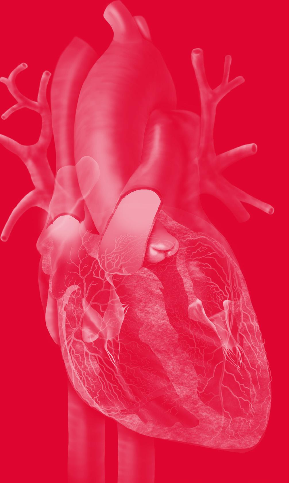 Este e-book traz, com detalhes, o atendimento da parada cardiorrespiratória (PCR) no adulto segundo as últimas diretrizes (2015) da American Heart Association.