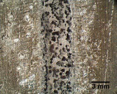 Há também uma região ZTA microestruturalmente muito parecida com o metal de base, de difícil identificação devido à pequena espessura da chapa soldada.