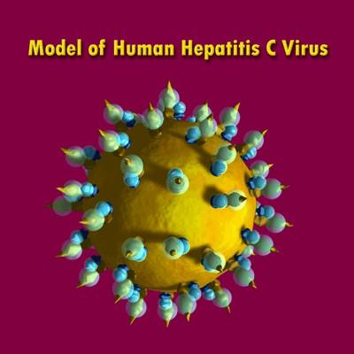 Vírus da Hepatite C (HCV) Classificação Família