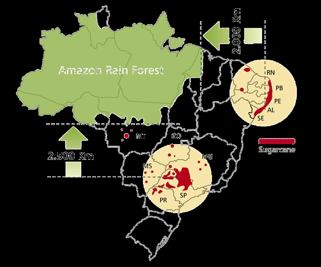 A CANA-DE-AÇÚCAR NO BRASIL Mais de 387 usinas e destilarias localizadas em 21 estados da federação; Área plantada: