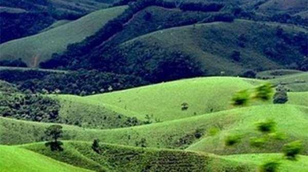 Figura 2 Floresta temperada caducifólia 4-Pradaria A vegetação de pradaria é típica de clima temperado continental, trata-se de