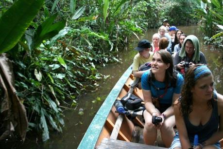 Três reservas naturais ao redor de Puerto Maldonado, que se estendem por mais de 8 milhões de acres de floresta primária.