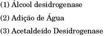 Acetobactérias oxidam parcial o álcool etílico,