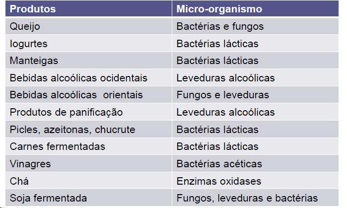 PRINCIPAIS MICRO-ORGANISMOS